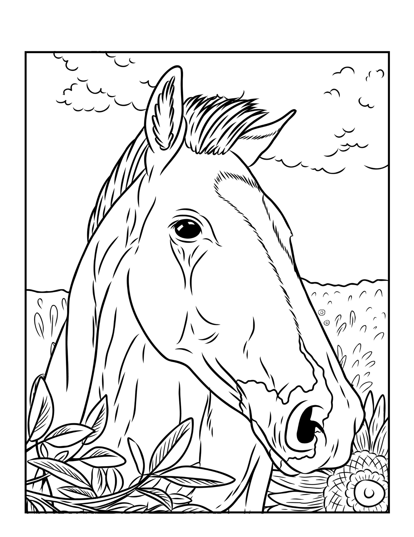 Grace in Motion: A Horse Coloring Book