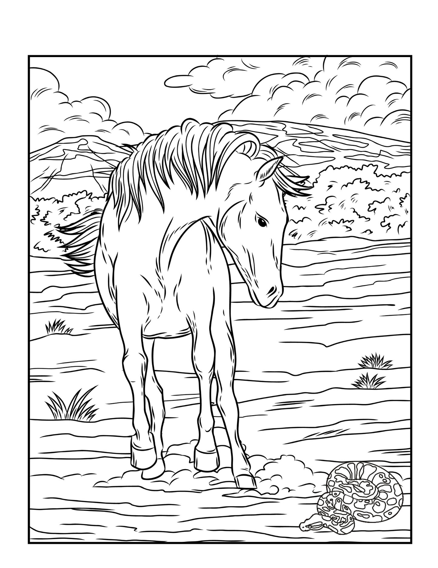 Grace in Motion: A Horse Coloring Book