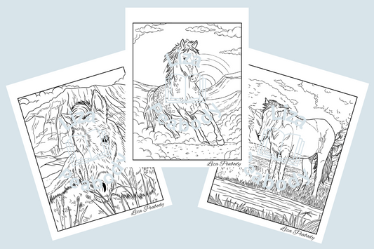 Digital Download - Horse Coloring Pages